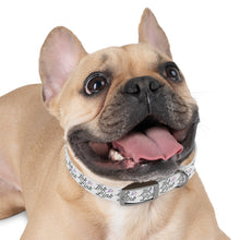 Load image into Gallery viewer, Ink Link Dog Collar